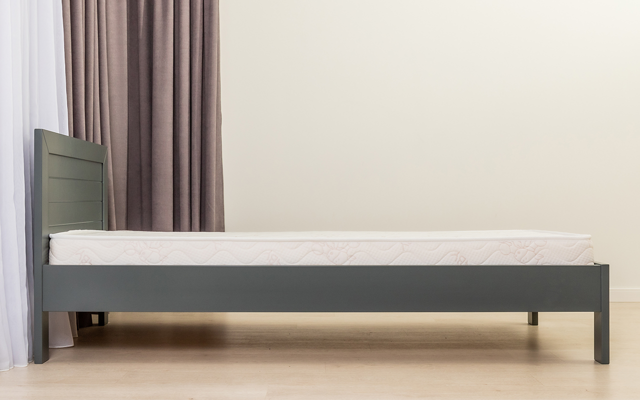 ProSon Львёнок фото 48